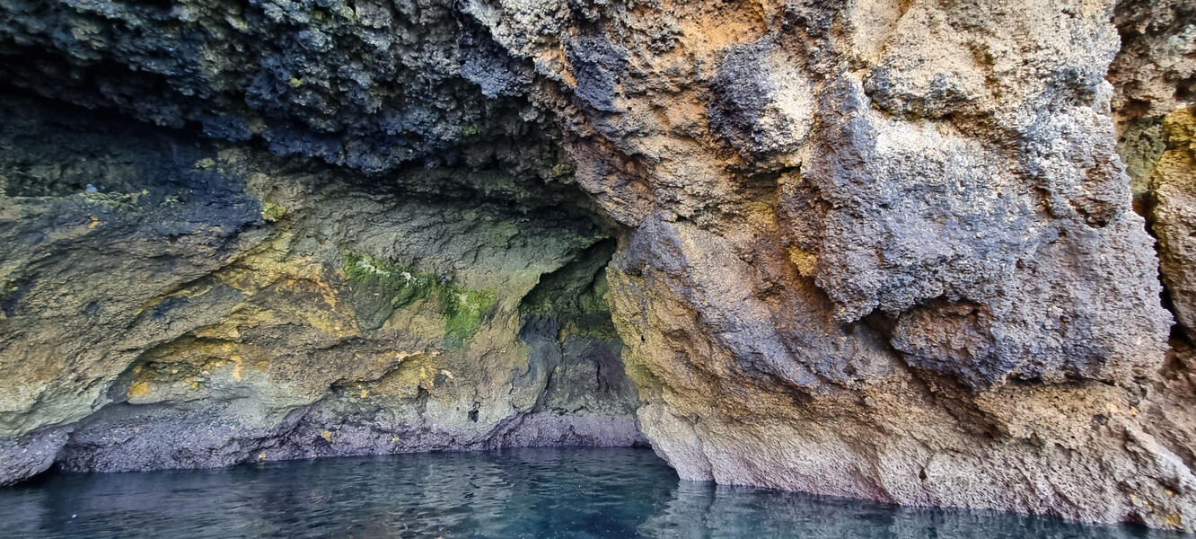 hypnotized by nature